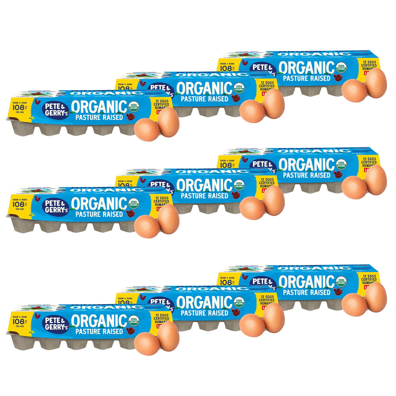Pete & Gerry's Organic Pasture Raised Large Eggs, Dozen, Case
